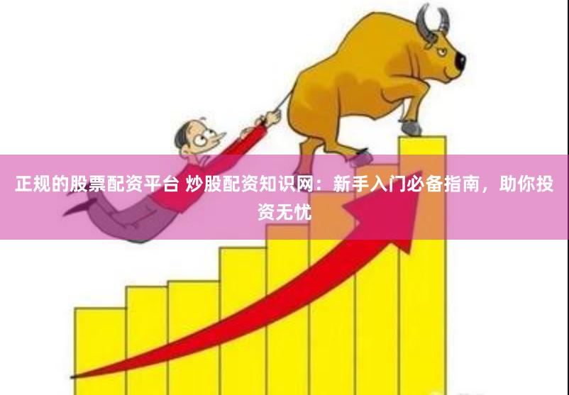 正规的股票配资平台 炒股配资知识网：新手入门必备指南，助你投资无忧