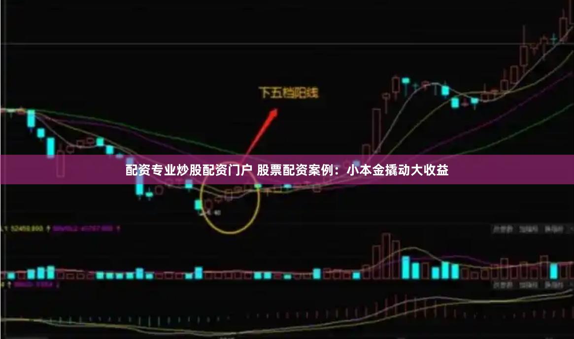 配资专业炒股配资门户 股票配资案例：小本金撬动大收益