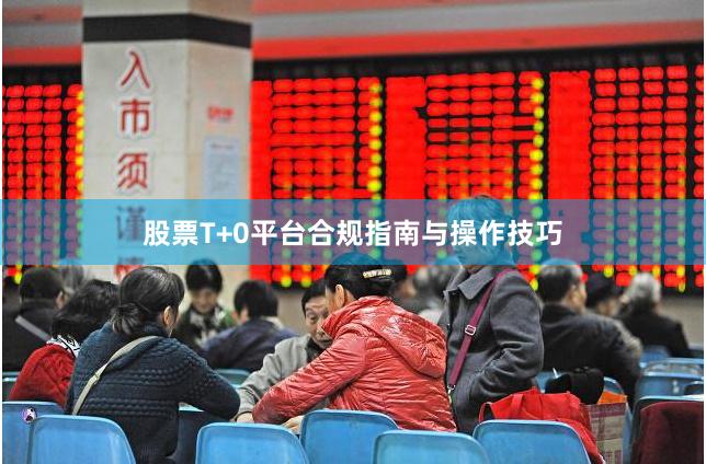 股票T+0平台合规指南与操作技巧